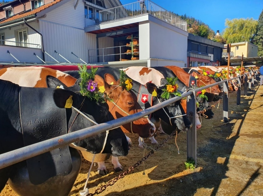 Vieschau auf dem Gemeindeplatz Oberdiessbach